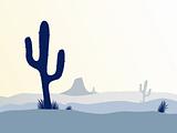 Cactus desert sunset