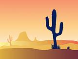 Cactus desert sunset