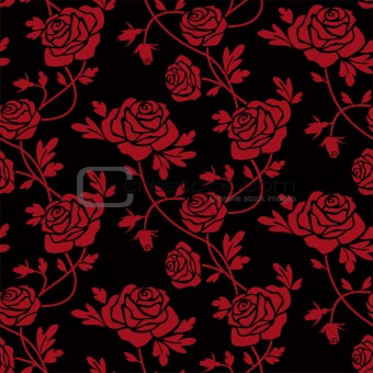 Red roses at black