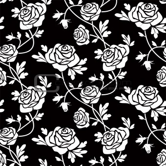 White roses at black