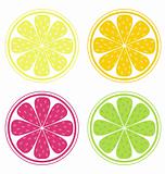 Citrus fruit slices isolated on white background (lemon, lime, orange, grapefruit)