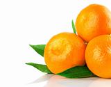 fresh tangerine fruits with green leaves isolated
