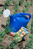 Watering can and rubber boots on the vegetable garden