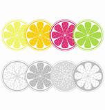 Citrus fruit slices in retro style isolated on white