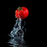tomato splashing out of water 
