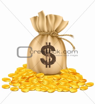 bag with dollars money on pile of golden coins
