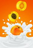orange apricot fruit falling into the milky splash