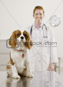 Dog and Young Female Young Female Veterinarian