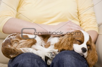 Woman Holding Dog