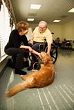 Elderly Man with Woman Petting Dog