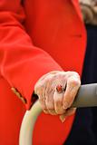 Elderly Woman's Hand
