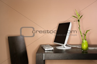 Computer on Table with Bamboo Plant