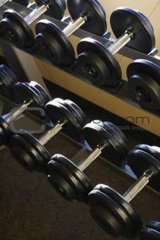 Rows of Hand Weights on Rack