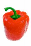 Red Bell Pepper. Close-up