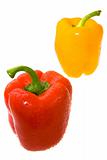 Red and Yellow Bell Peppers. Close-up 3