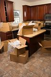 Moving boxes in kitchen.