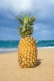 Pineapple on tropical beach.