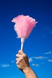 Adult female hand holding feather duster against sky.