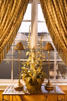 Window with curtain and plant in home.