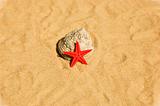 Red Star on Sand