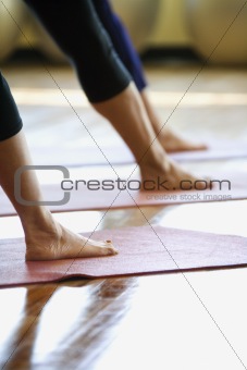 Adult females in yoga class.