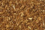 tobacco leaves background