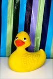 Rubber ducky with a striped shower curtain in background.