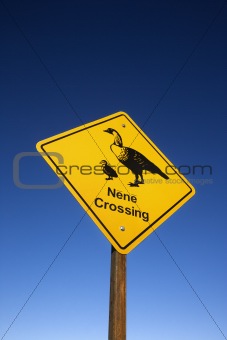 "Nene Crossing" road sign in Maui, Hawaii.