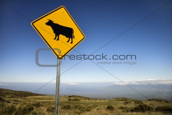 Cow crossing sign in Haleakala National Park, Maui, Hawaii.