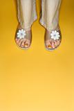 Woman feet in flower sandals.