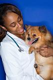 Woman veterinarian holding dog.