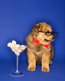Puppy wearing eyeglasses and bowtie with martini glass full of b