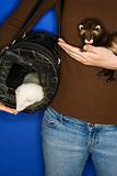 Pet ferrets held by Caucasian woman.