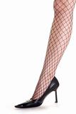 womans leg and net stocking