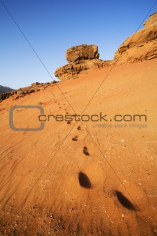 the wadi run desert