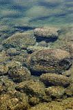 Rocks on ocean bottom seen through water in Maui, Hawaii.