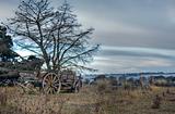 old cart in field 
