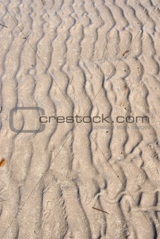 ripples in the beach sand