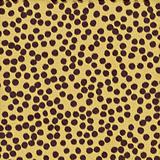 cheetah spots