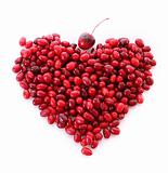cranberries in heart shape over white background