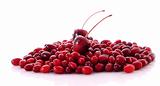 cherry and cranberries on white background