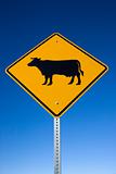 'Cattle on Road' Sign