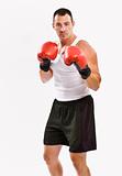 Boxer in boxing gloves training