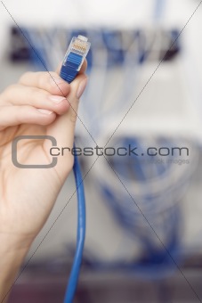 Female Hand Holding Electronic Cable