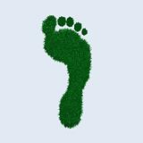 Green Grass Footprint