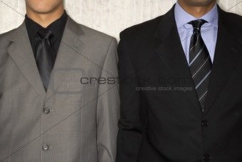Two Businessmen in Suits and Neckties