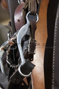 Detail of Horse Bridle
