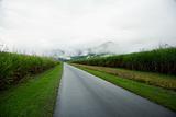 Rural Road
