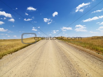 Rural Dirt Road Through Grassland