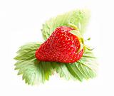 Isolated fruits - Strawberries